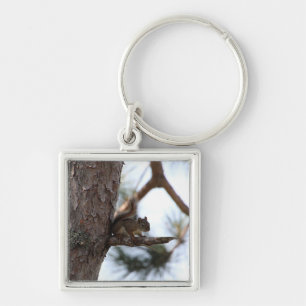 Squirrel in a Pine Tree Key Ring