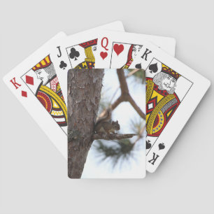 Squirrel in a Pine Tree Playing Cards