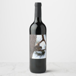 Squirrel in a Pine Tree Wine Label