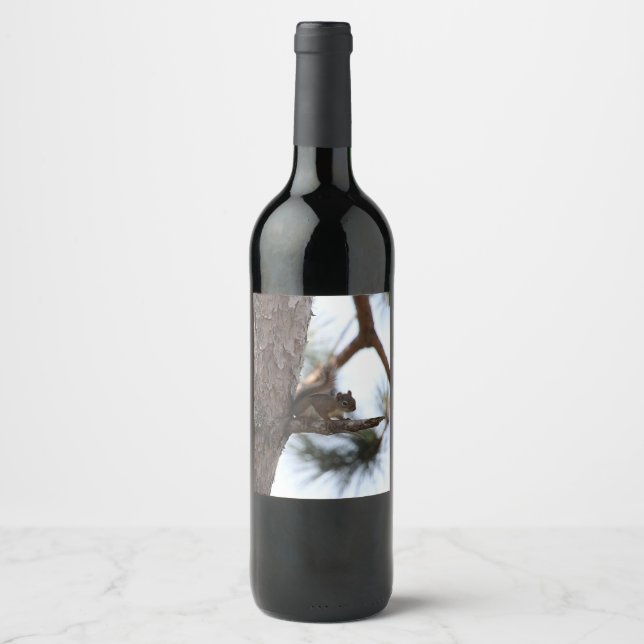 Squirrel in a Pine Tree Wine Label (Front)