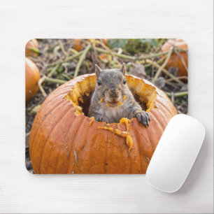 Squirrel in an Autumn Pumpkin Mouse Pad