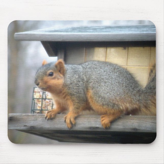 Squirrel in Bird Feeder Mouse Pad (Front)