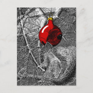 Squirrel in Christmas Tree Postcard