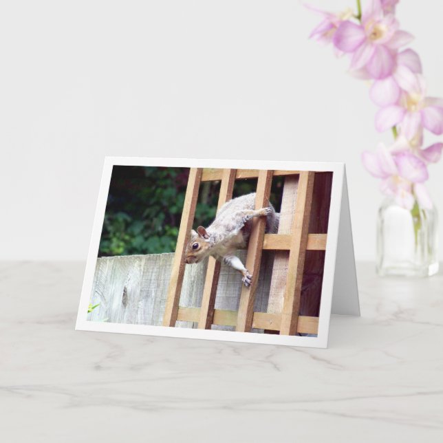 Squirrel in Fence Card (Orchid)