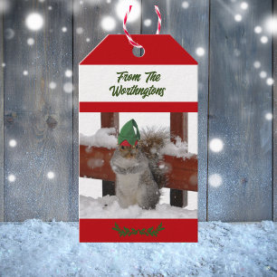 Squirrel in Green Hat Snowy Red and White Gift Tags