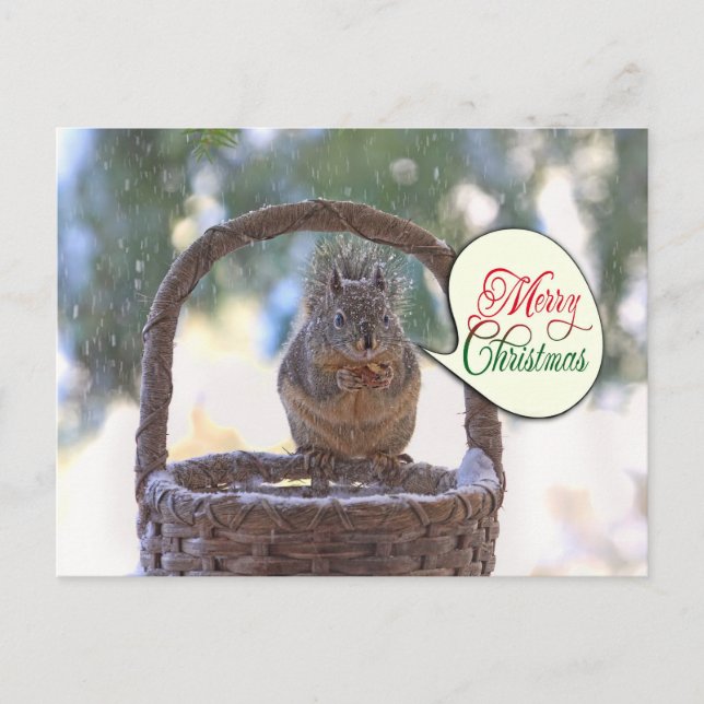 Squirrel in Snow Saying Merry Christmas Holiday Postcard (Front)