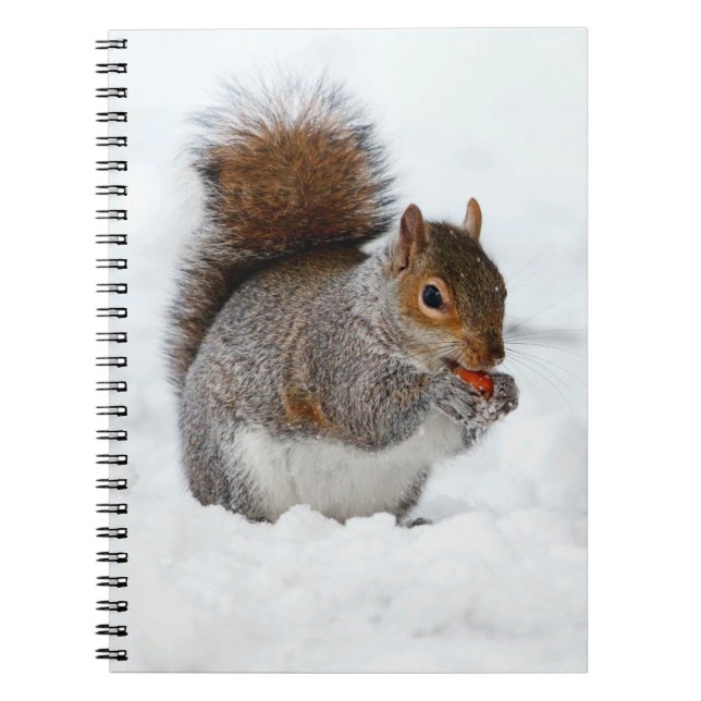 Squirrel in Snow with Berry Notebook (Front)