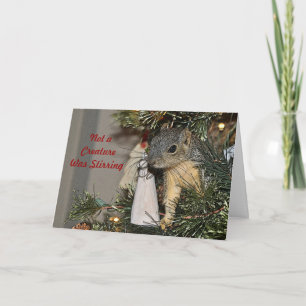 Squirrel in the Christmas Tree Holiday Card