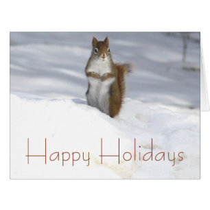 Squirrel in the Snow