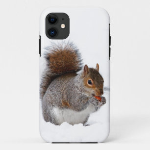 Squirrel in the Snow iPhone 11 Case