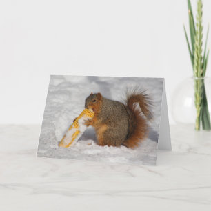 Squirrel in the snow greeting card