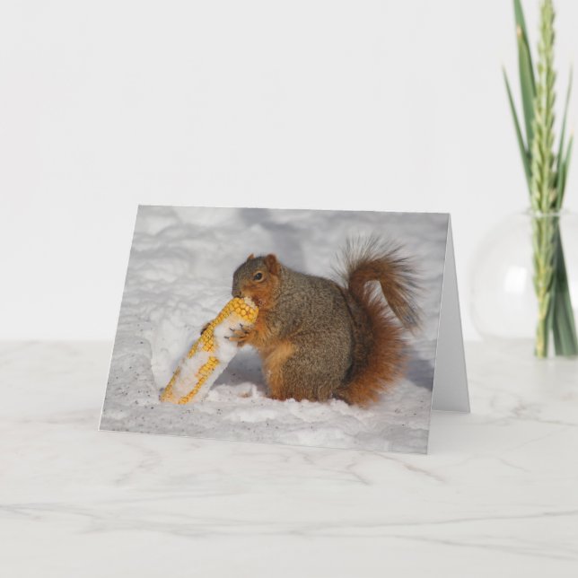 Squirrel in the snow greeting card (Front)