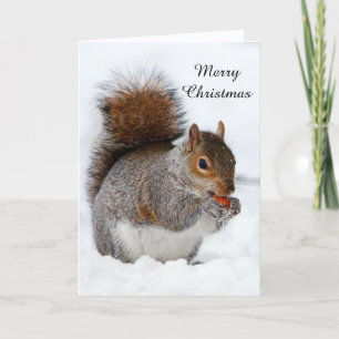 Squirrel in the Snow Holiday Card