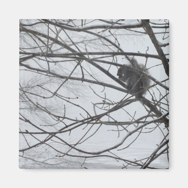 Squirrel in the Snow Magnet (Front)