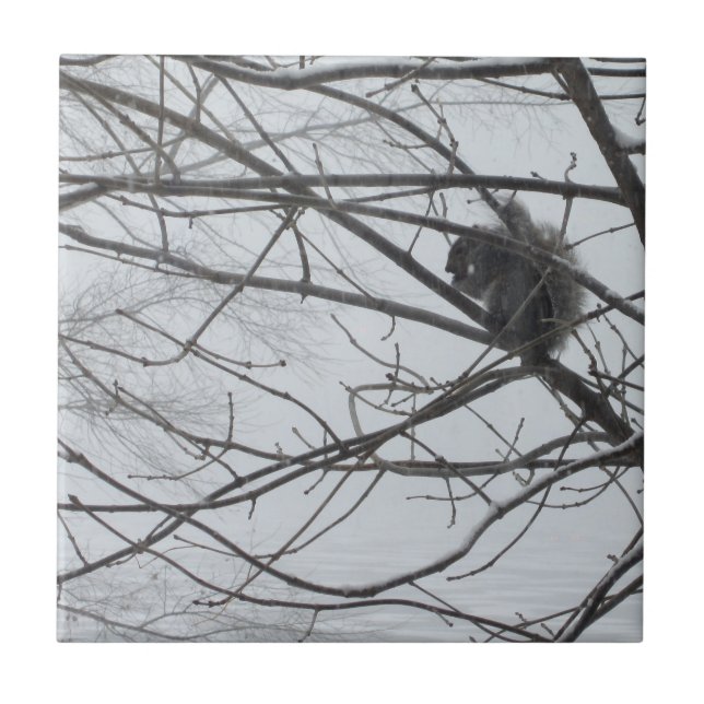 Squirrel in the Snow Tile (Front)