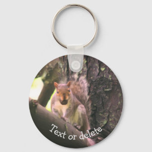 Squirrel In Tree Animal Art Personalised Key Ring