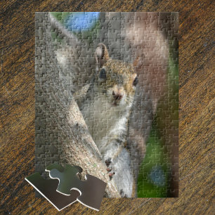 Squirrel in Tree Wildlife Photographic Jigsaw Puzzle