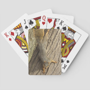 Squirrel in Tree with Nut Photo Playing Cards
