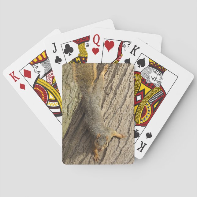 Squirrel in Tree with Nut Photo Playing Cards (Back)