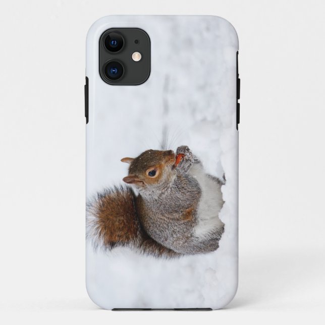 Squirrel In Winter  iPhone 5 Case (Back)