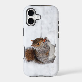 Squirrel In Winter iPhone 5 Case