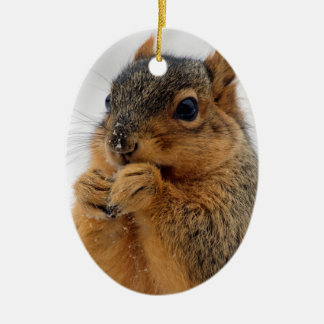 Squirrel in Wonder Ceramic Ornament
