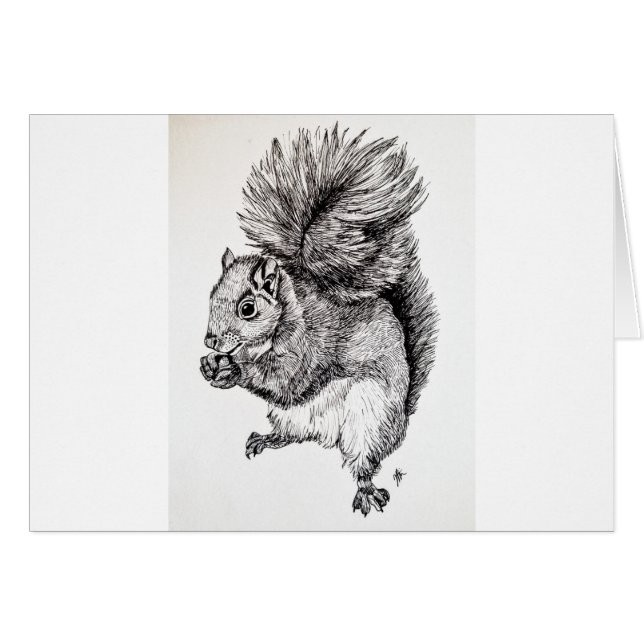 Squirrel Ink Illustration (Front Horizontal)