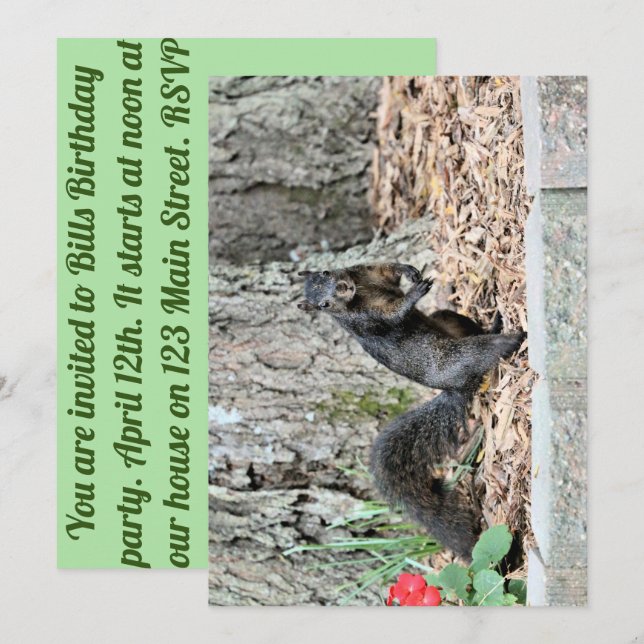 Squirrel Invitation (Front/Back)
