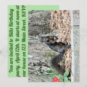 Squirrel Invitation