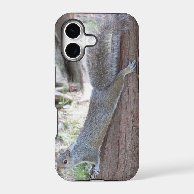 Squirrel iPhone 5 case (Back)