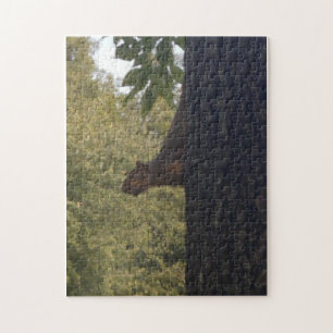 Squirrel Jigsaw Puzzle