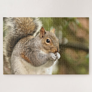 Squirrel Jigsaw Puzzle