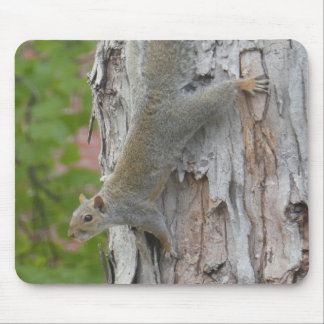 Squirrel Jumping Off Tree Photo Mouse Pad