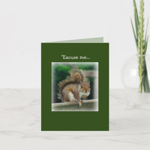 Squirrel just asking for the birds Greeting Card