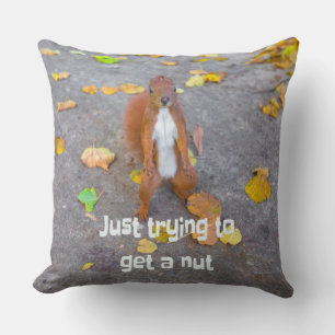 squirrel Just trying to get a nut Cushion