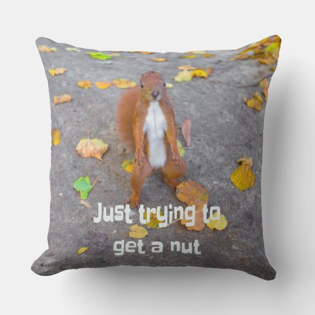 squirrel Just trying to get a nut Cushion (Front)
