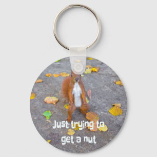 squirrel Just trying to get a nut Key Ring