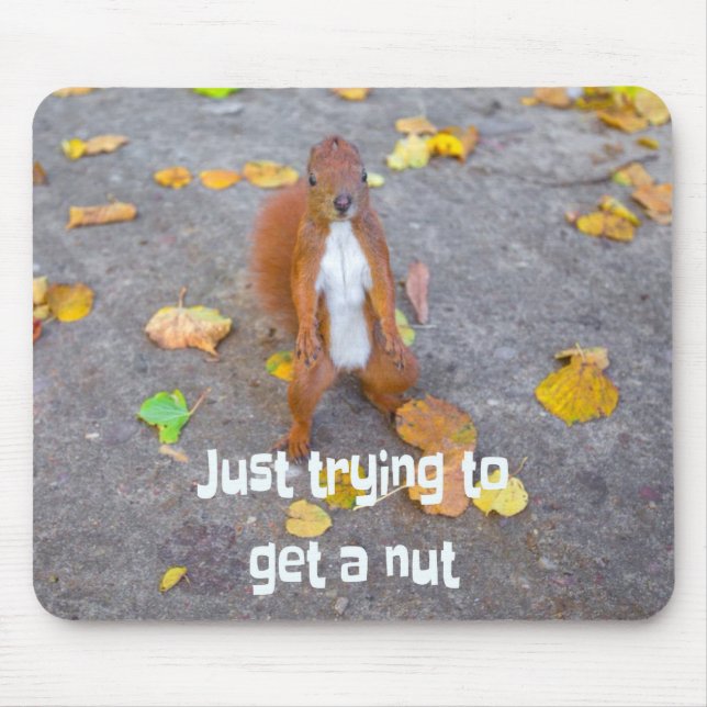 squirrel Just trying to get a nut Mouse Pad (Front)