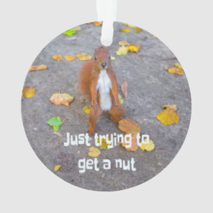squirrel Just trying to get a nut Ornament