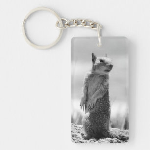 Squirrel Key Ring