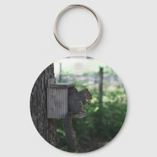 Squirrel Keychain