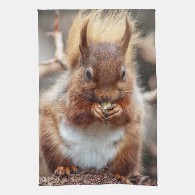 Squirrel Kitchen towel (Vertical)