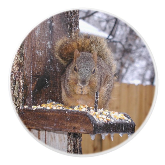 Squirrel Knobs (Front)