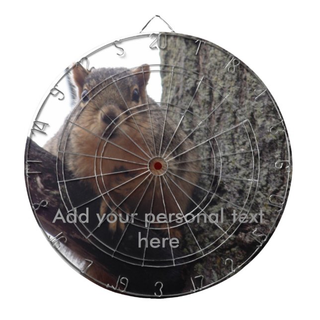 Squirrel looking at your dart board (Front)