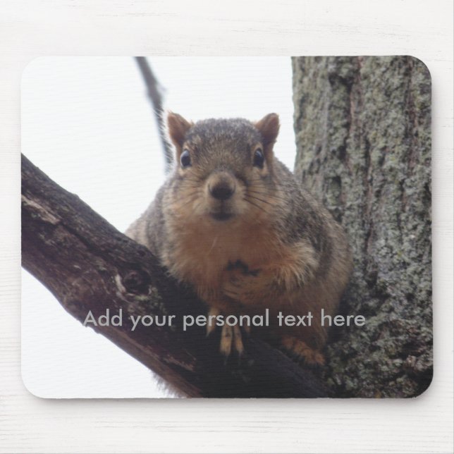 Squirrel looking at your mouse pad (Front)