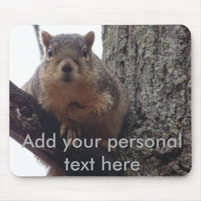 Squirrel looking at your mouse pad (Front)