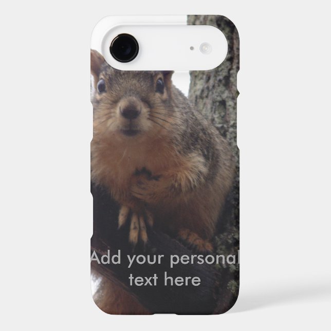 Squirrel looking at your phone case (Back)
