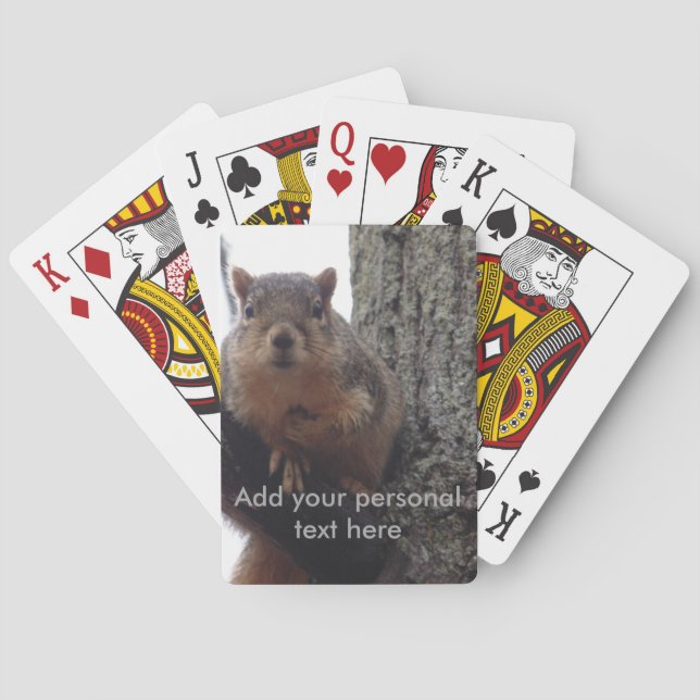 Squirrel looking at your playing cards (Back)