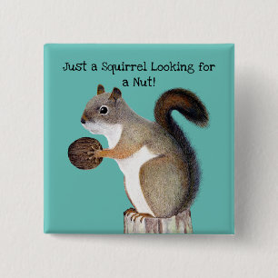 Squirrel Looking For A Nut 15 Cm Square Badge