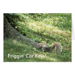 Squirrel looking for car keys